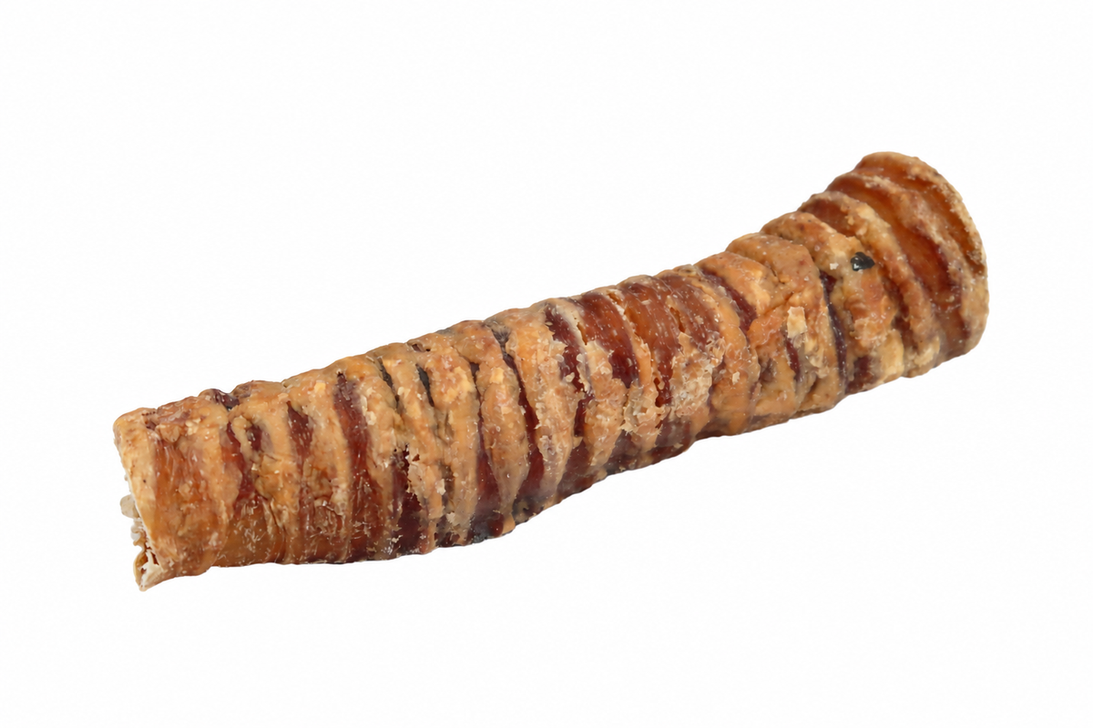 Buffalo Trachea