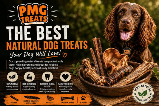 The Best Natural Dog Treats in the UK: Our Top Picks for Happy, Healthy Dogs