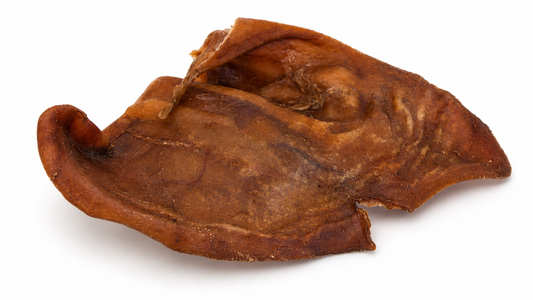 Large Pig Ear